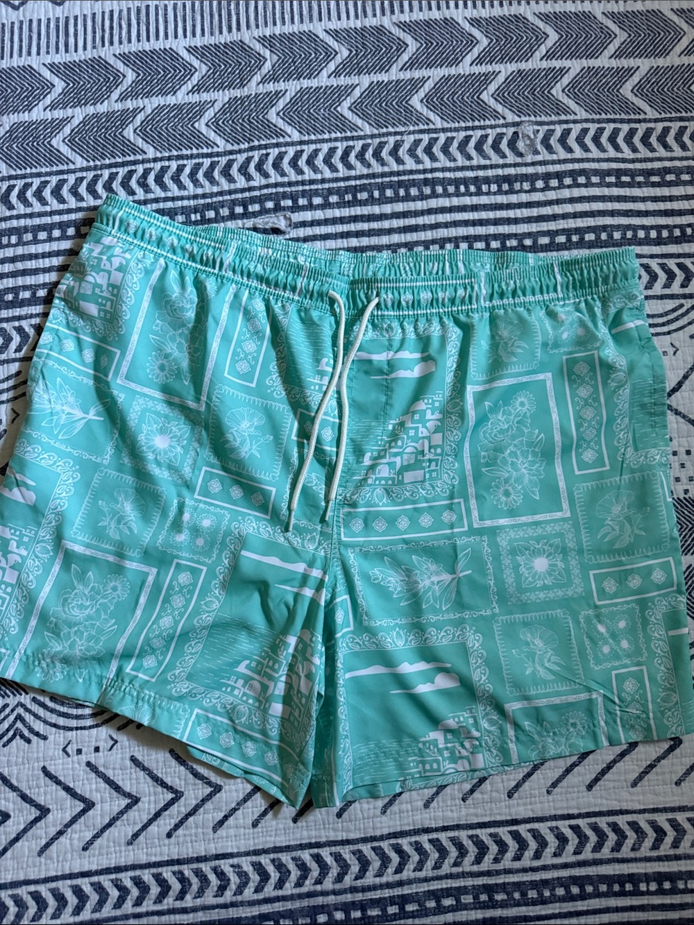 Aqua Patterned Drawstring Swim Shorts